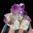 specimen video