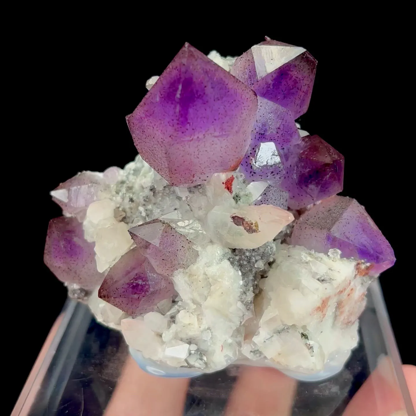 specimen video