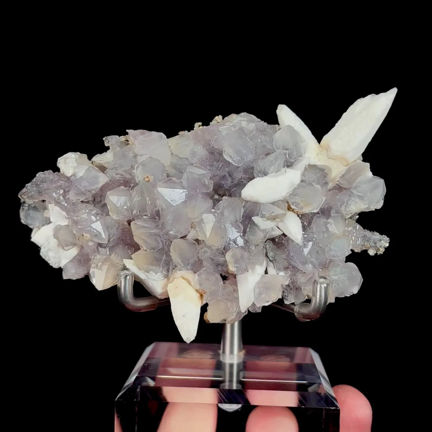 specimen video