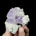 Natural Amethyst Cluster Mineral Specimen,High Quality Specimen,BOLIVIA(50*75*40mm) - image 2