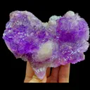 specimen video