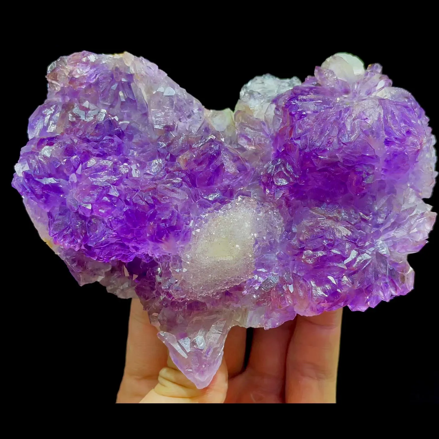 specimen video