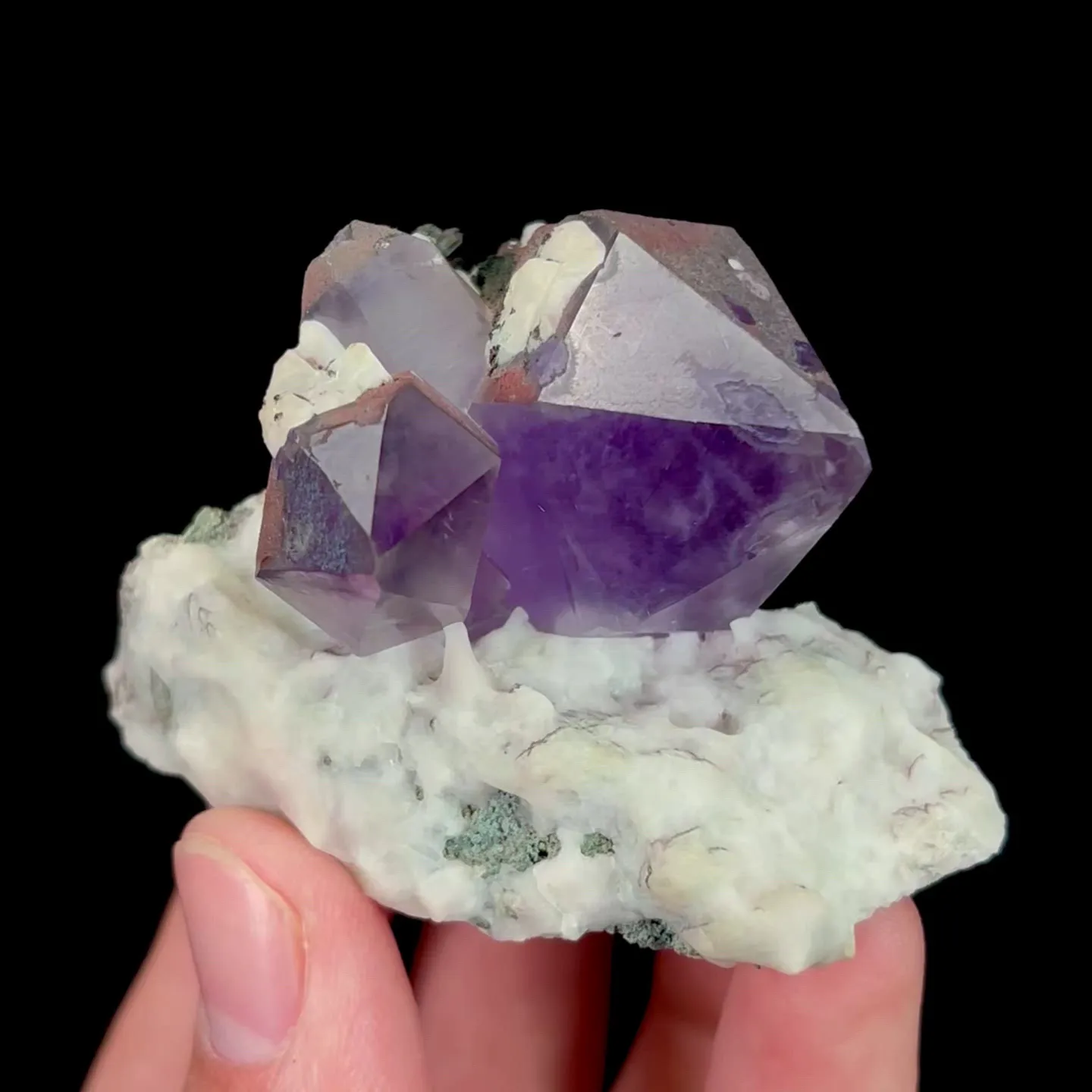 specimen video