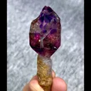 specimen video
