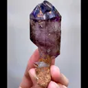 specimen video
