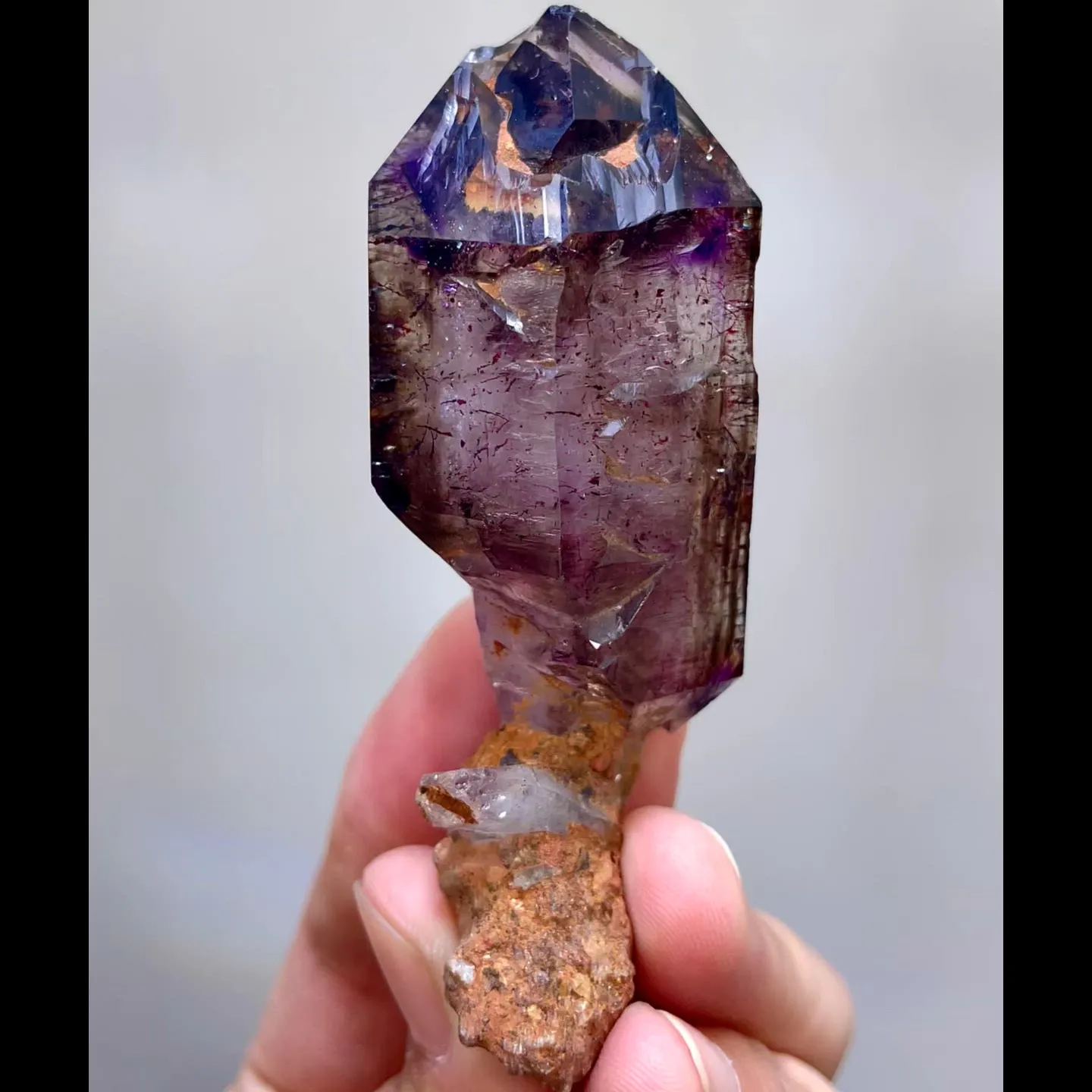 specimen video