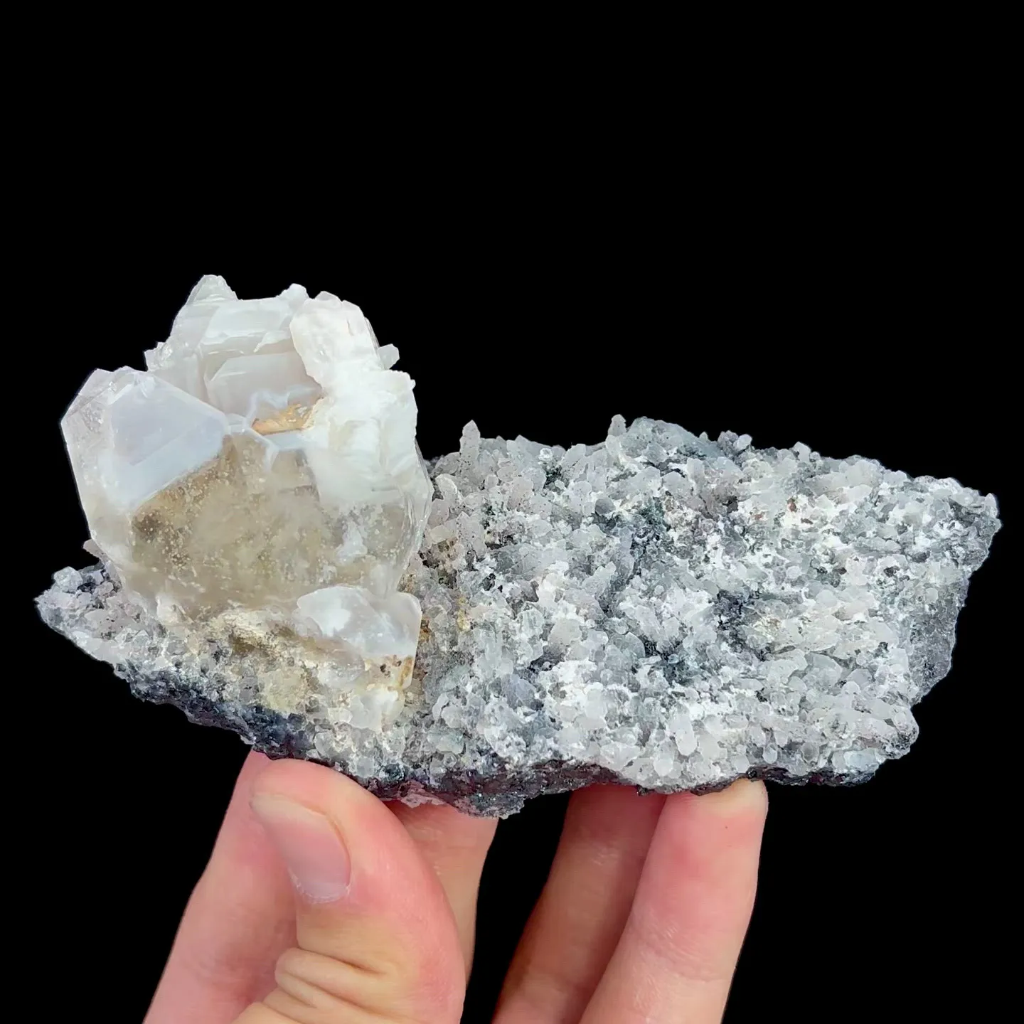 specimen video
