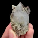 specimen video