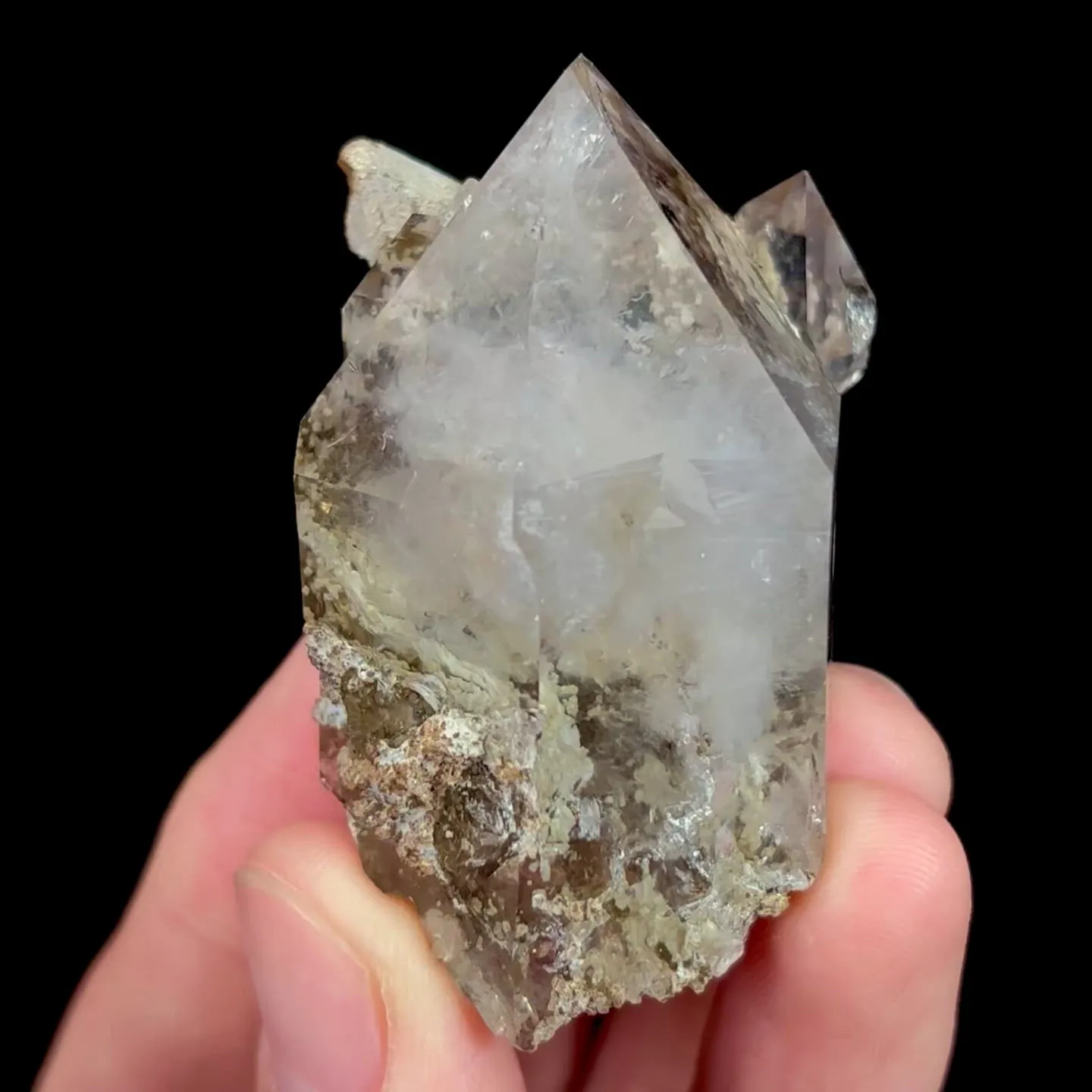 specimen video