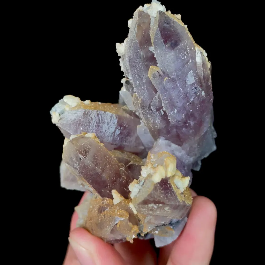 specimen video