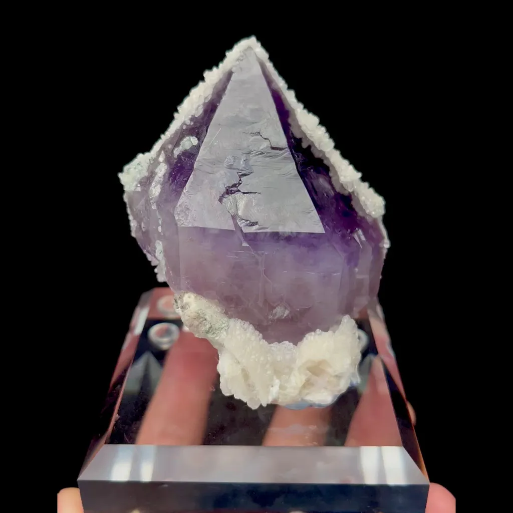 specimen video