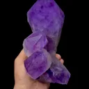 specimen video