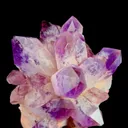 specimen video