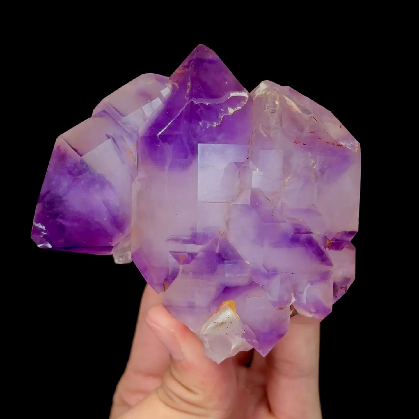 specimen video