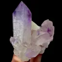 specimen video