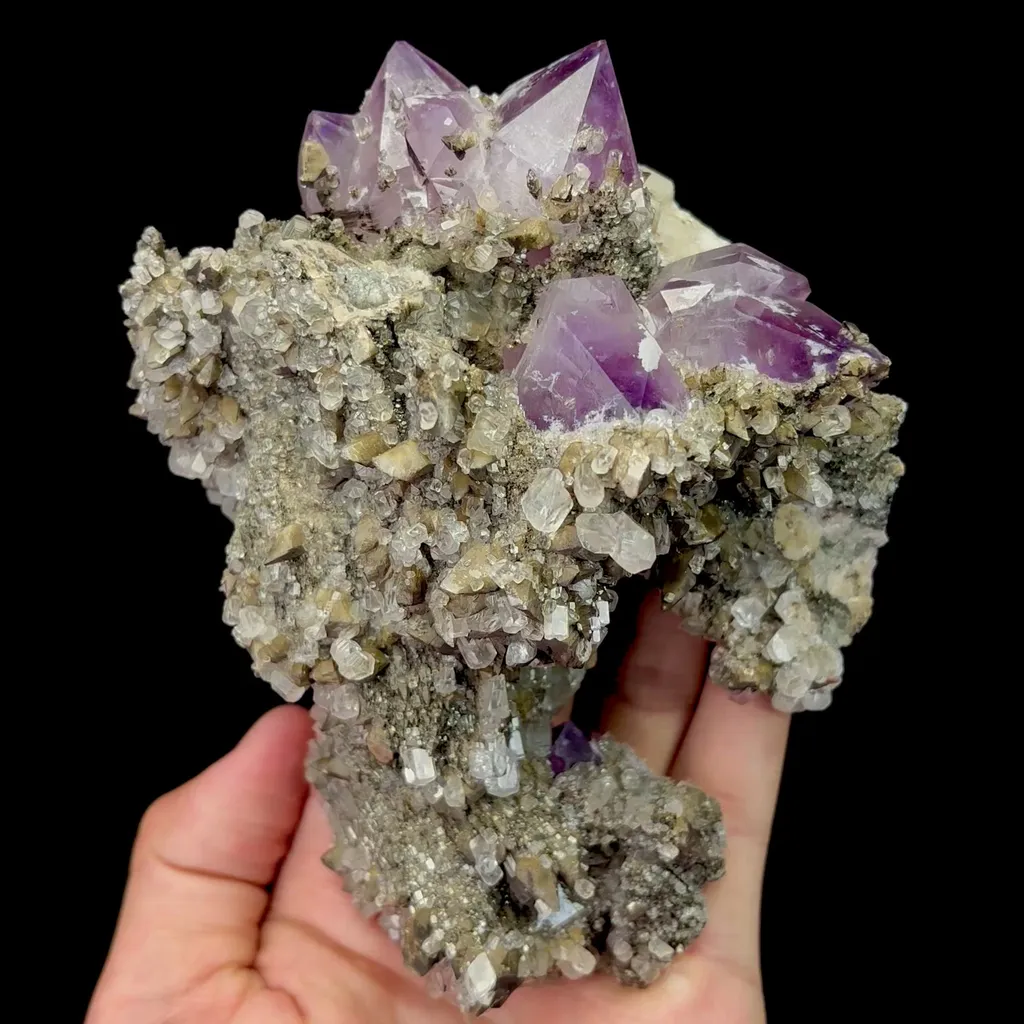 specimen video