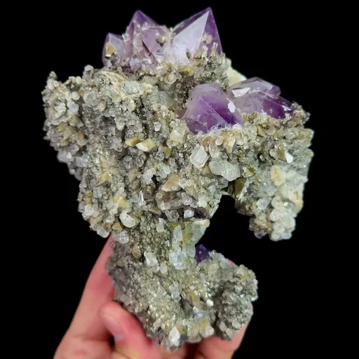 specimen video