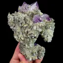 specimen video