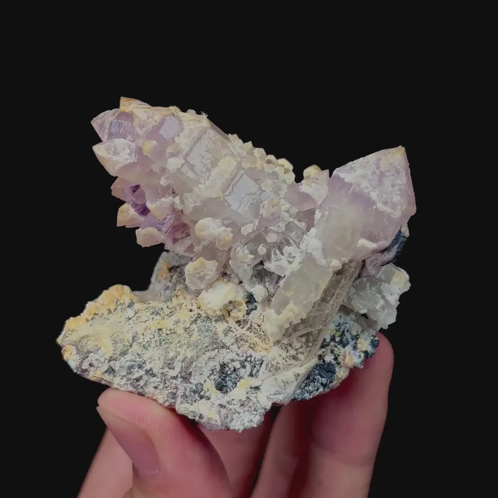 specimen video