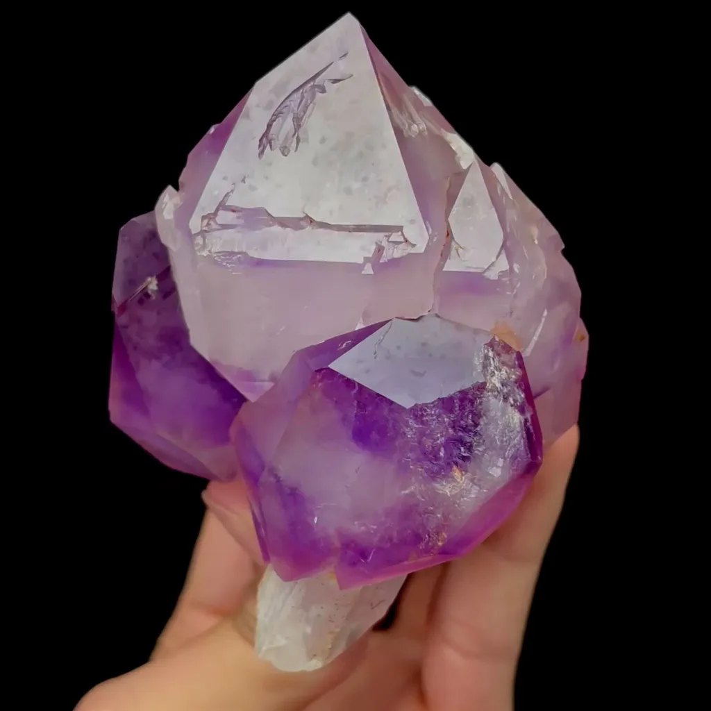specimen video