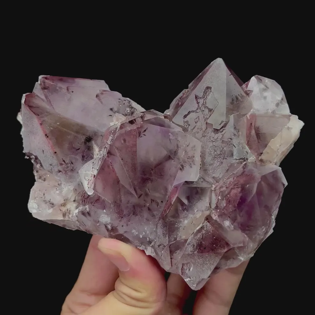 specimen video
