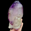 specimen video