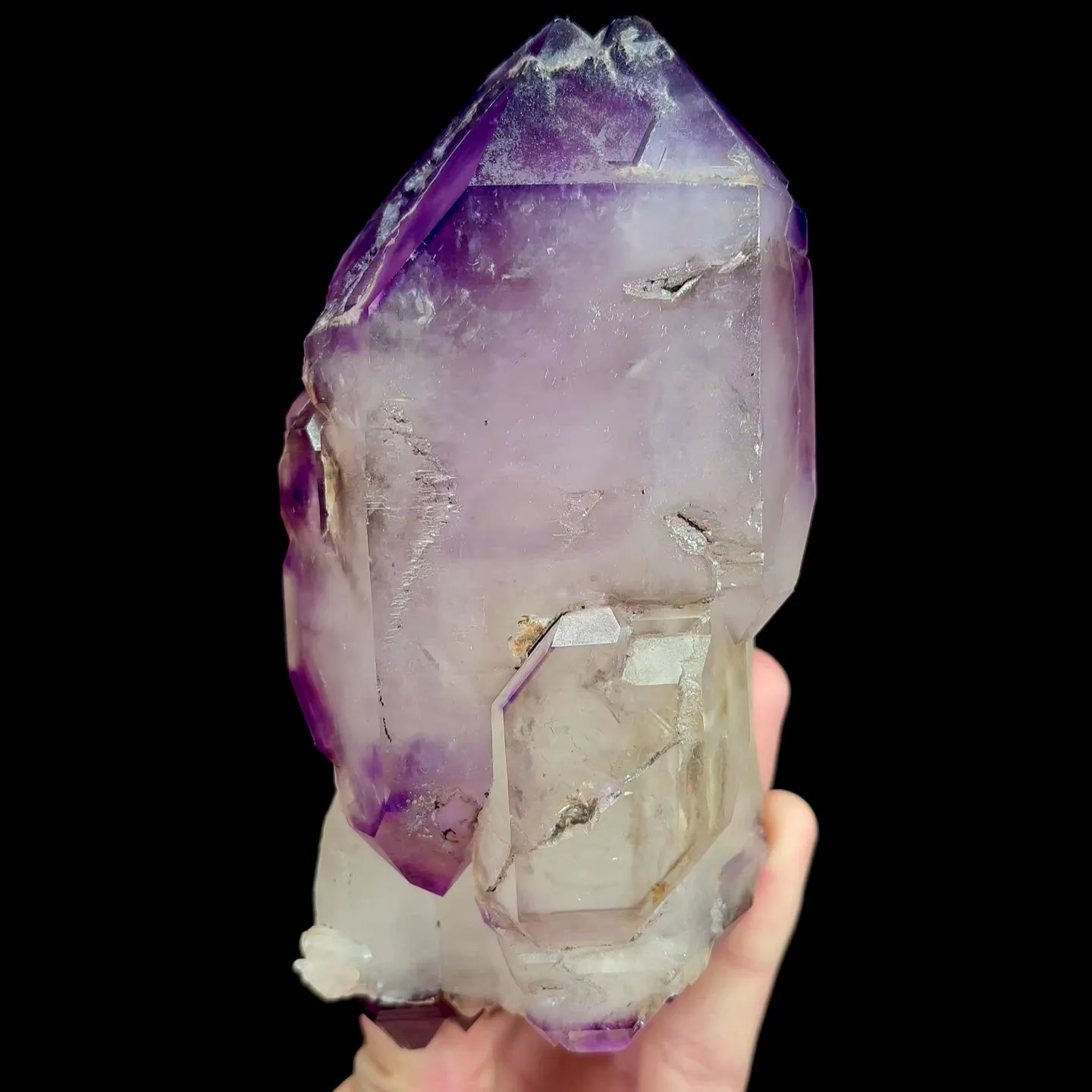 specimen video