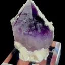 specimen video