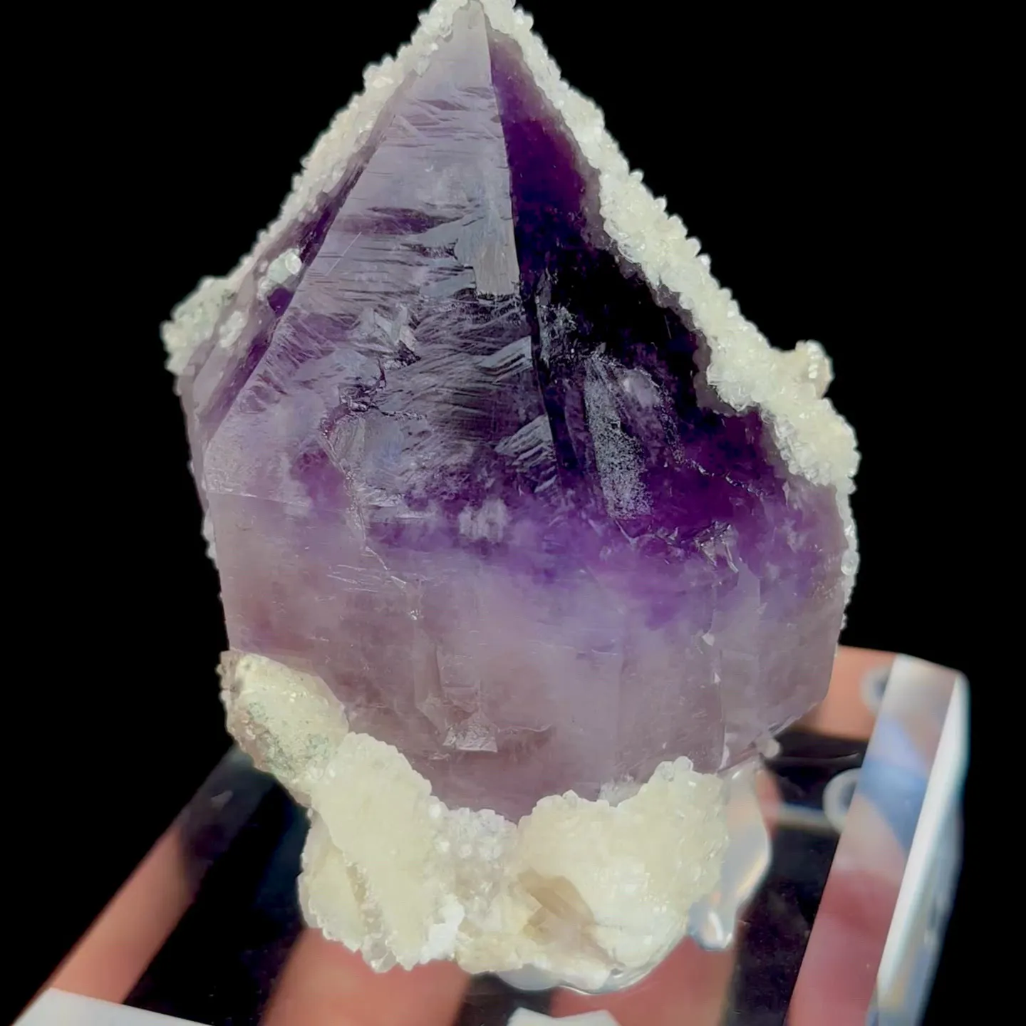 specimen video