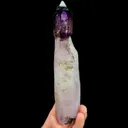 specimen video