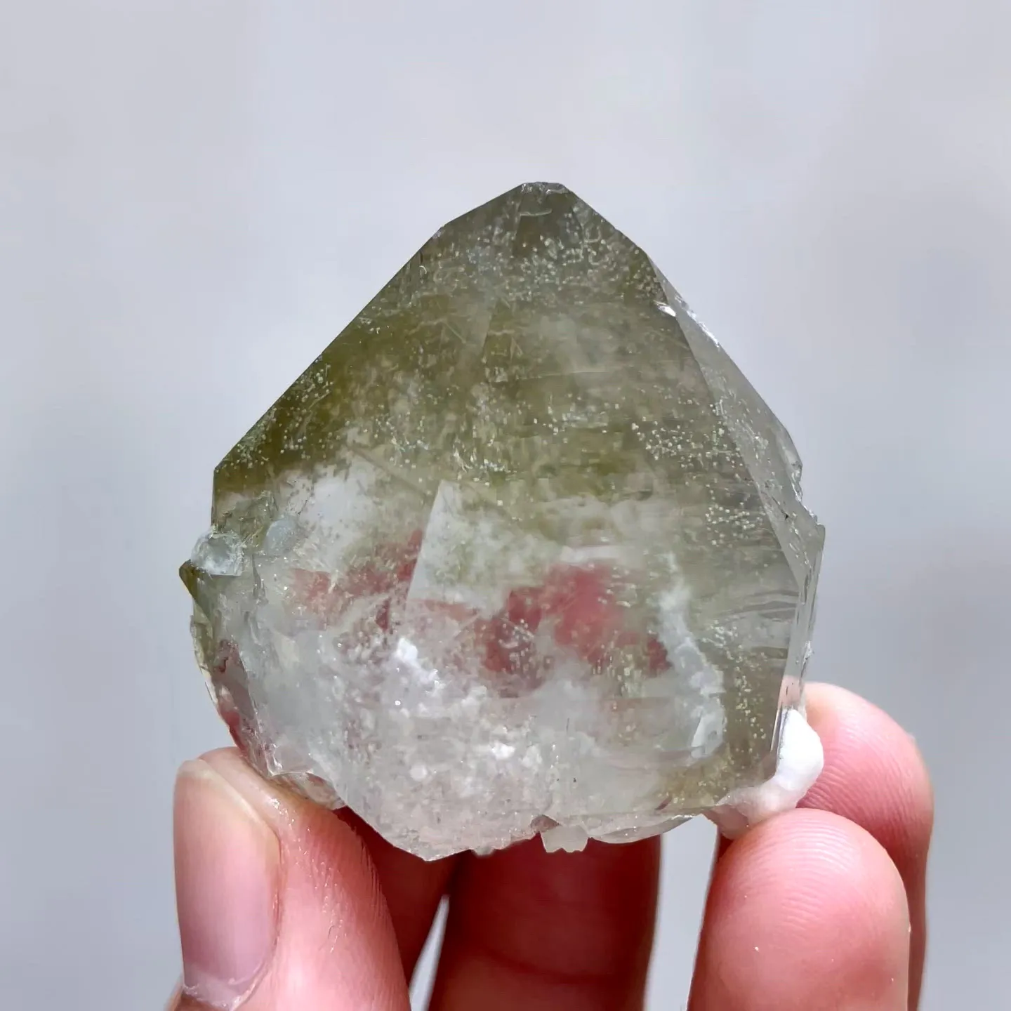 specimen video