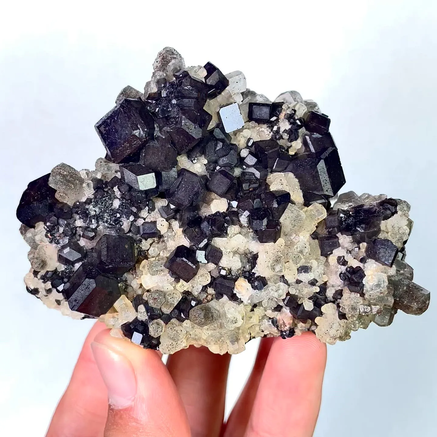 specimen video