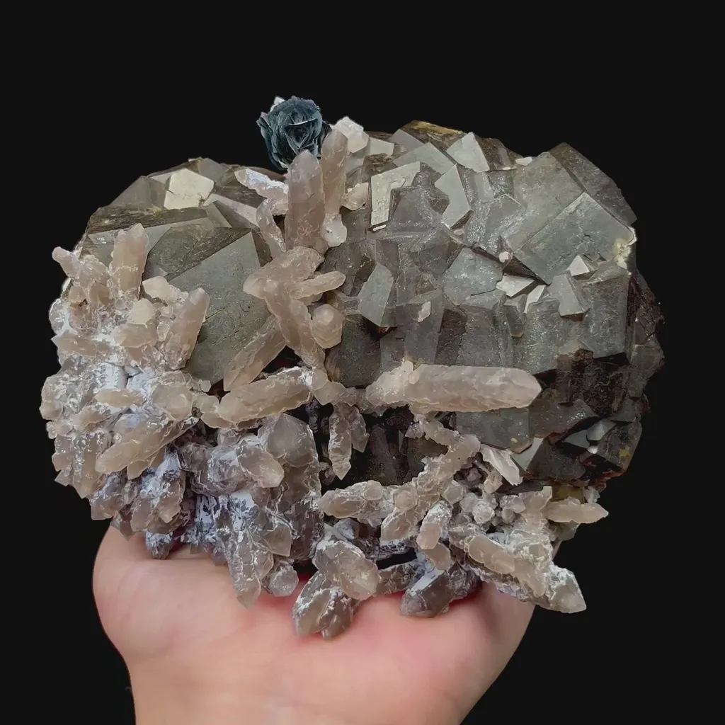 specimen video