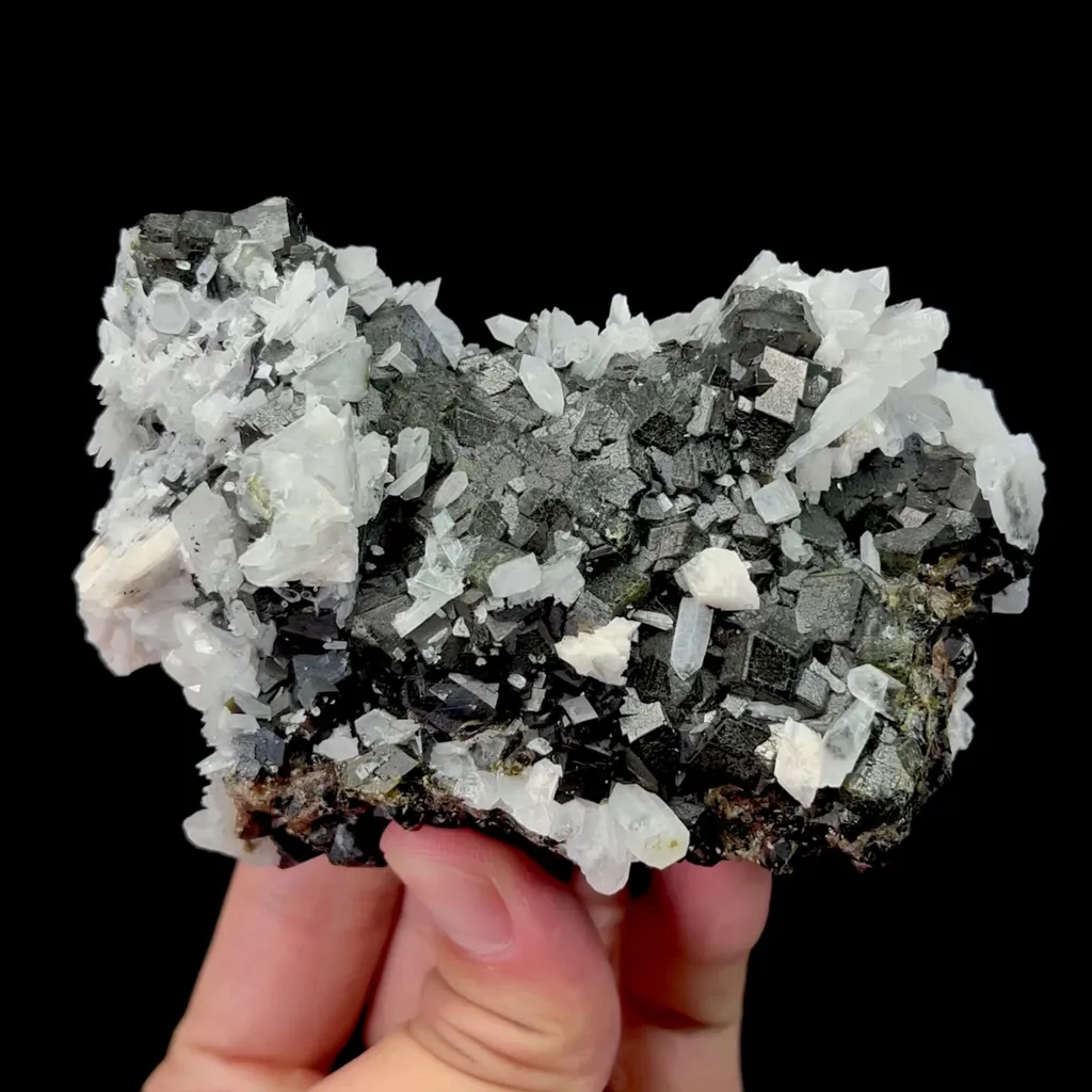 specimen video