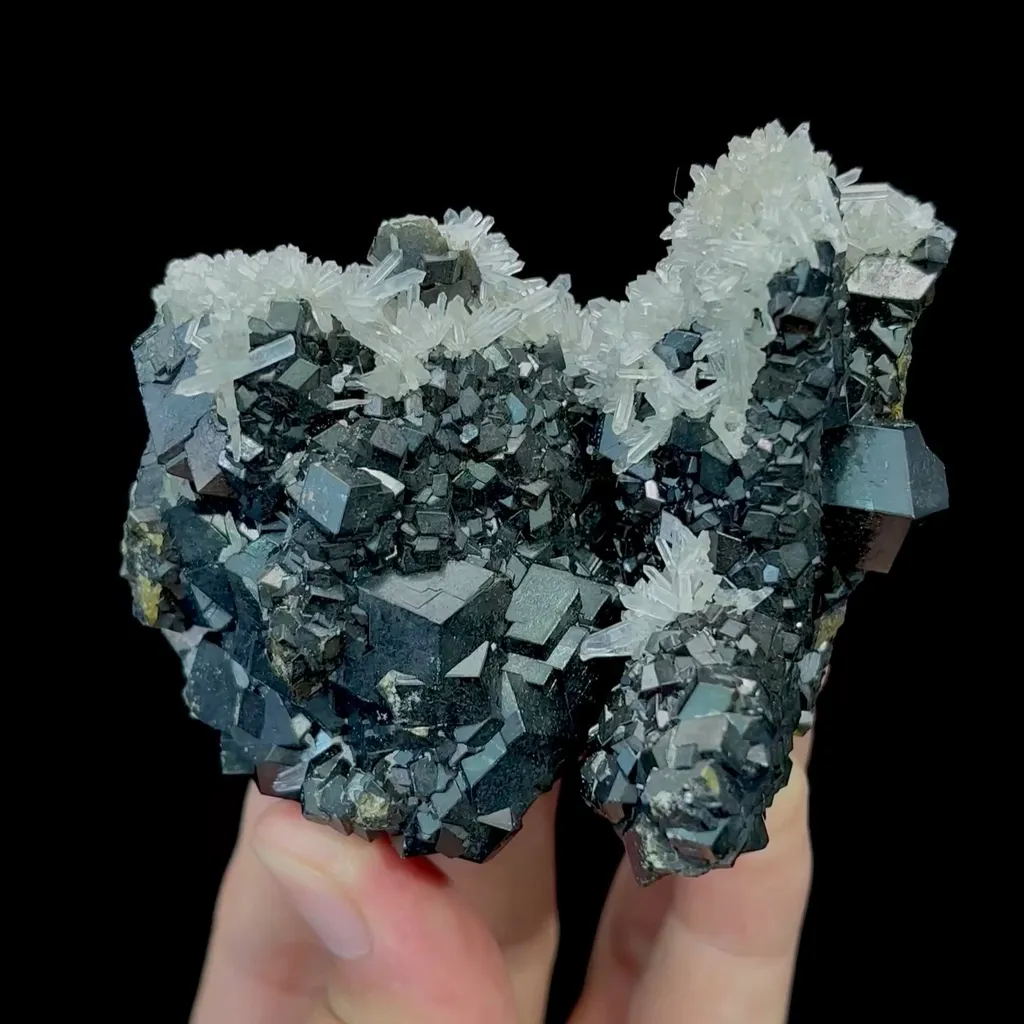 specimen video