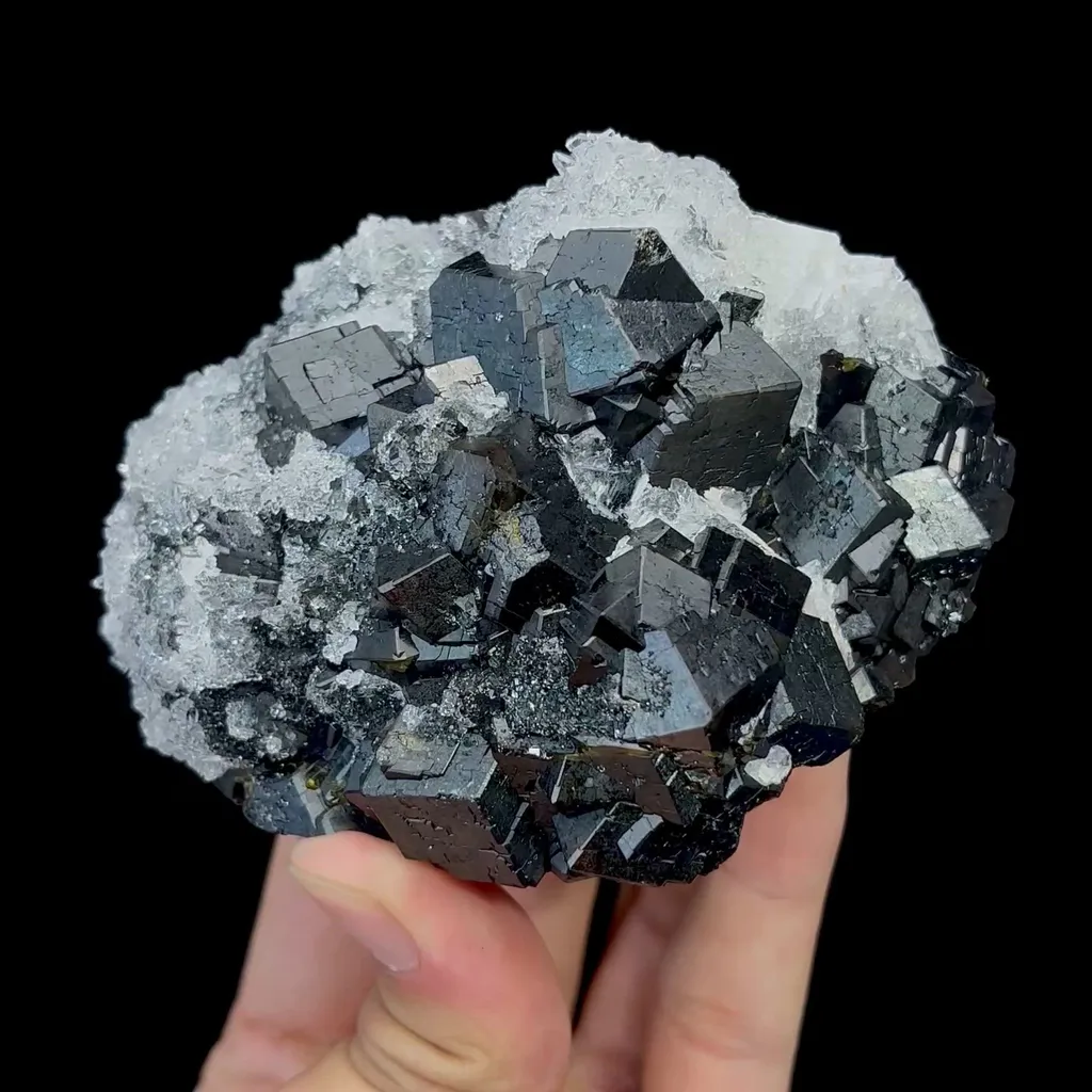 specimen video