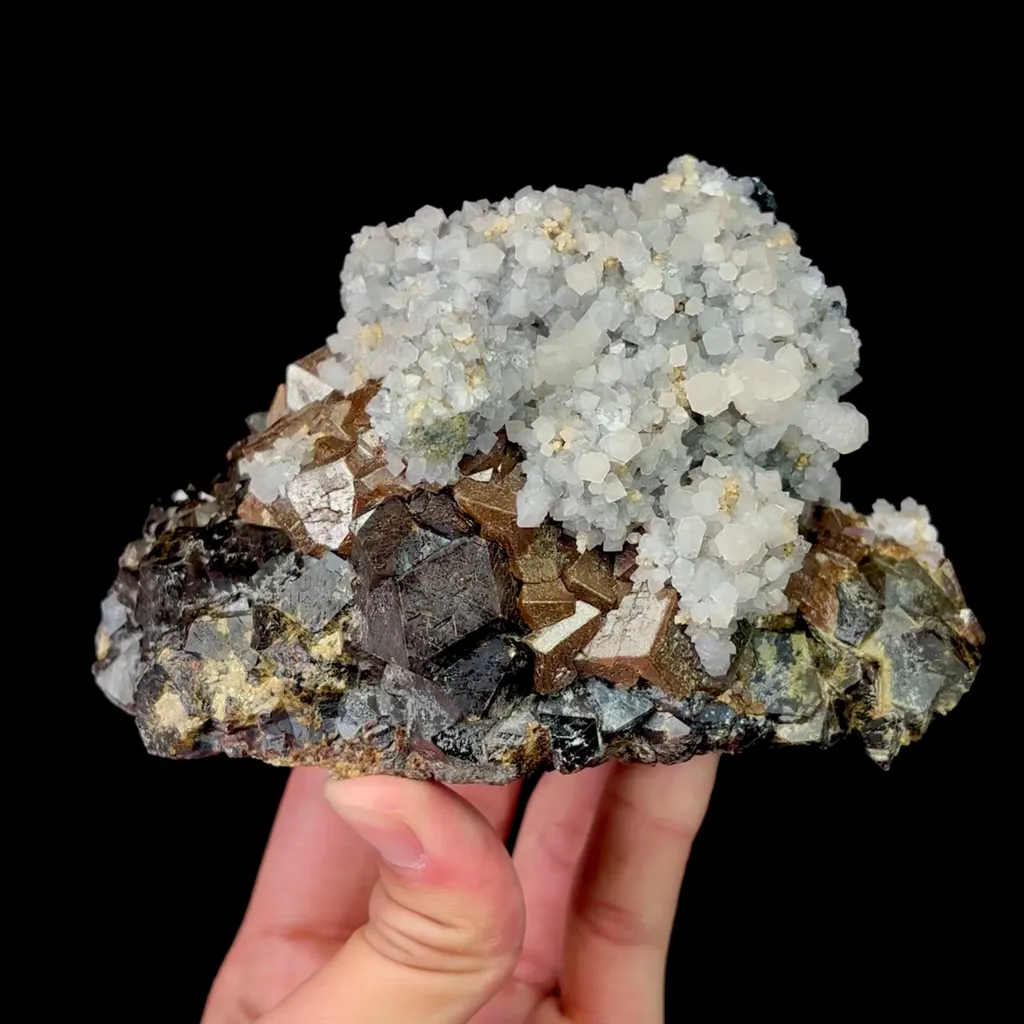 specimen video