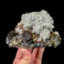 specimen video