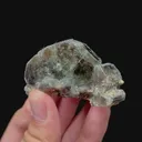 specimen video