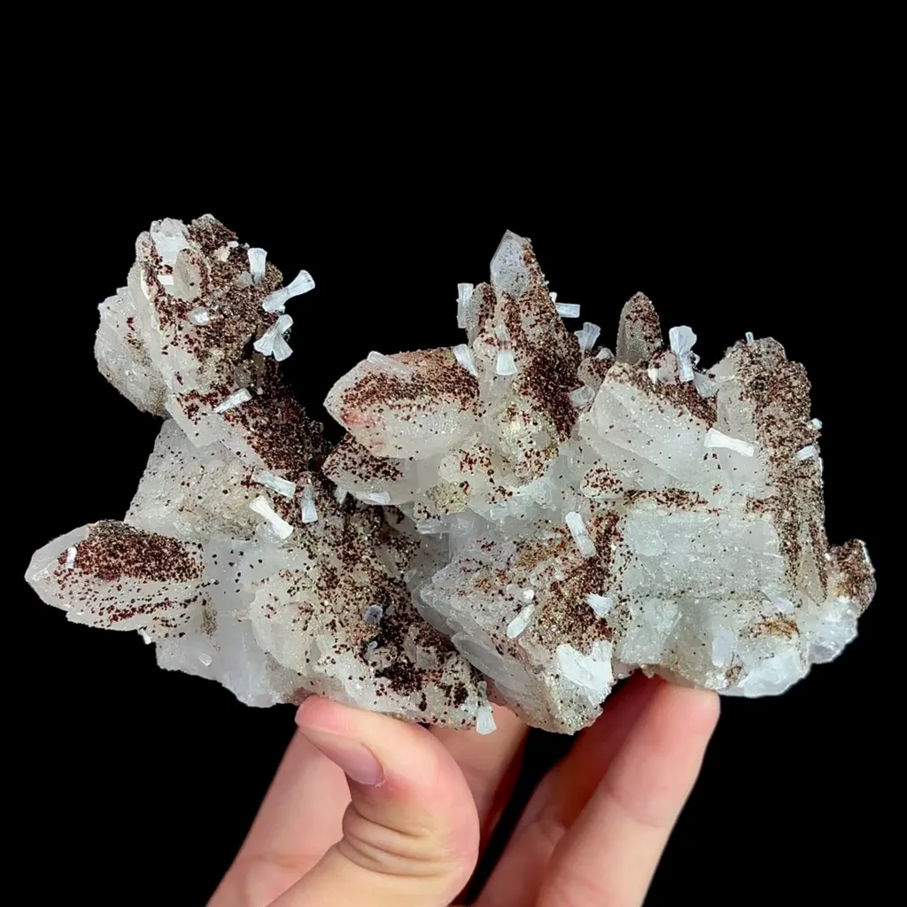 specimen video
