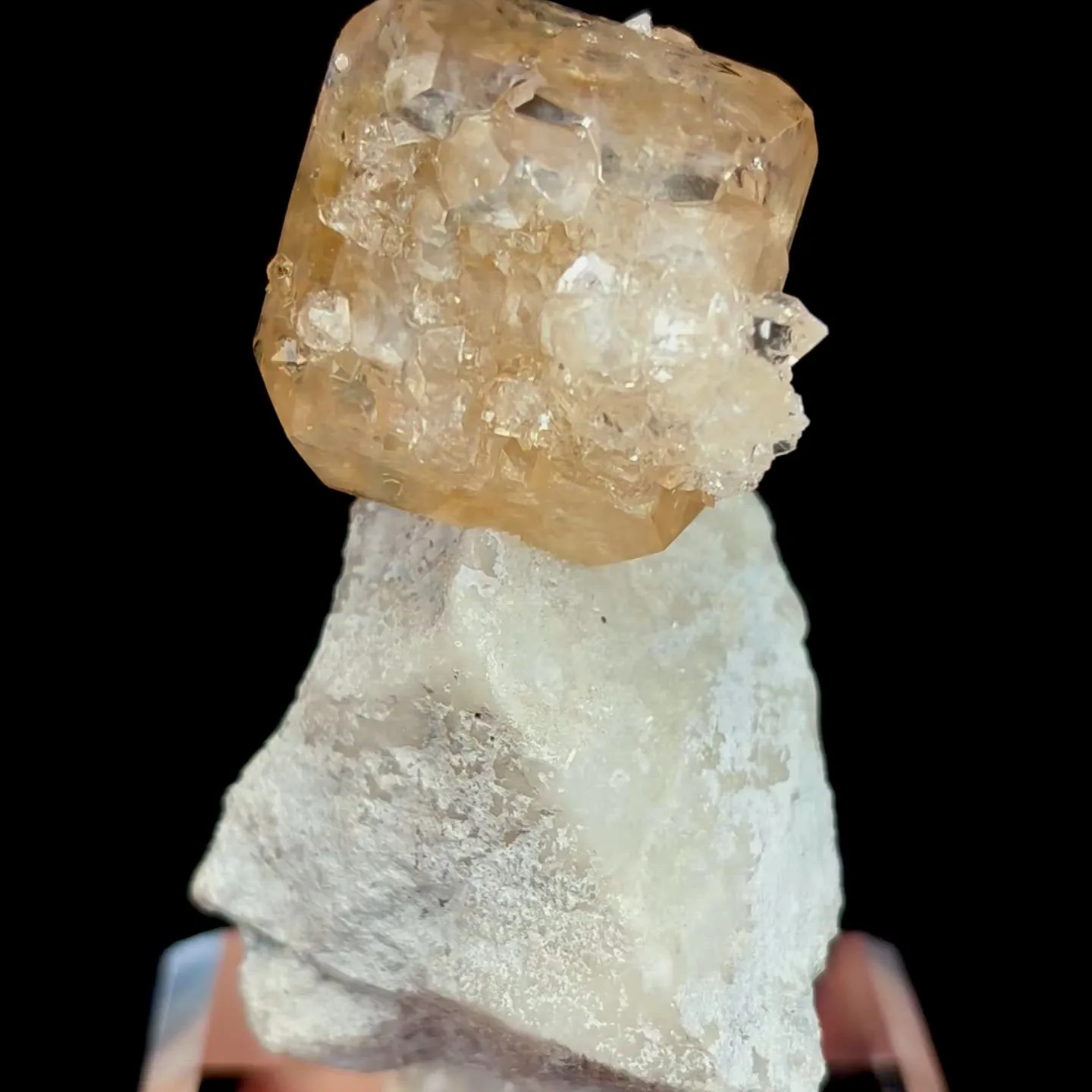 specimen video