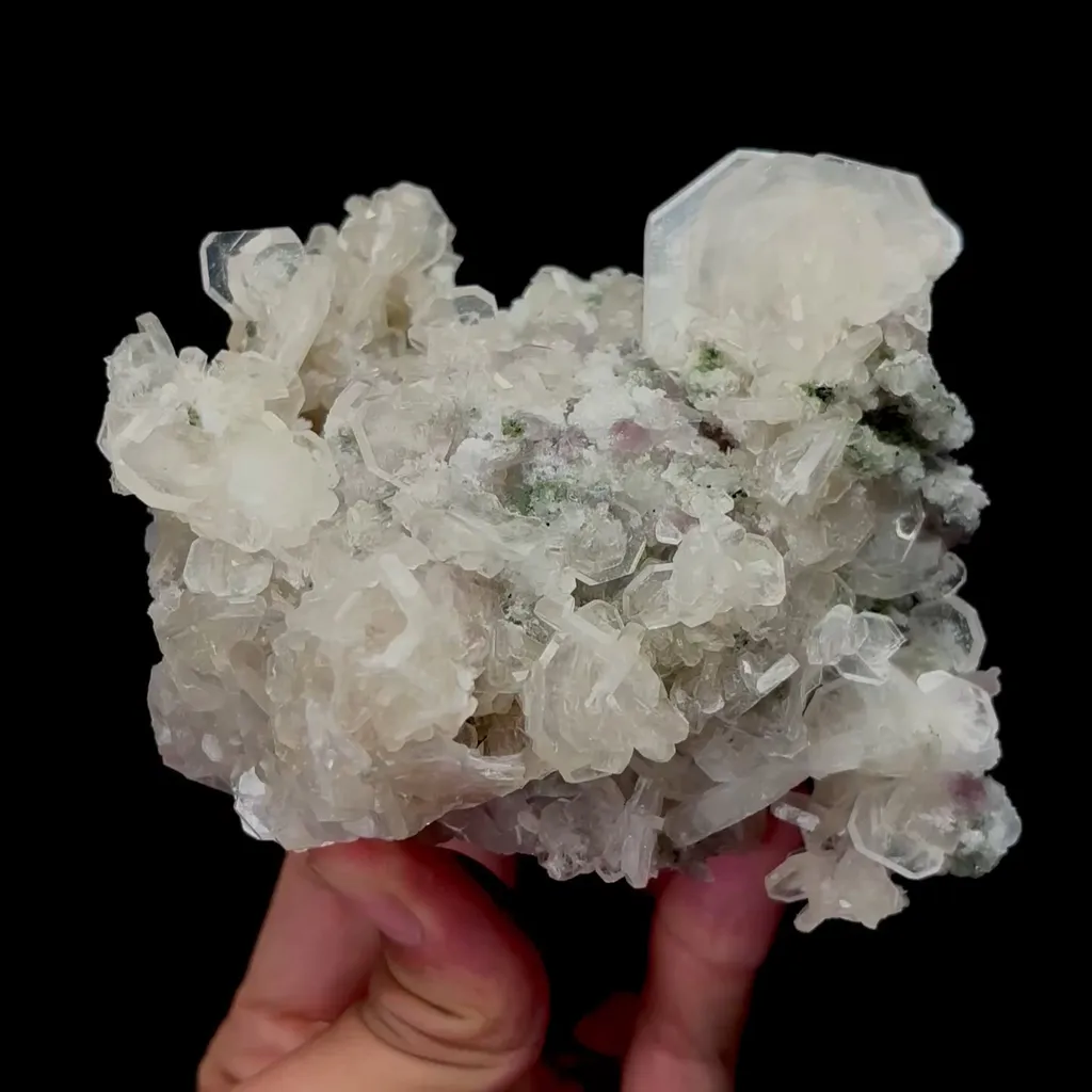 specimen video