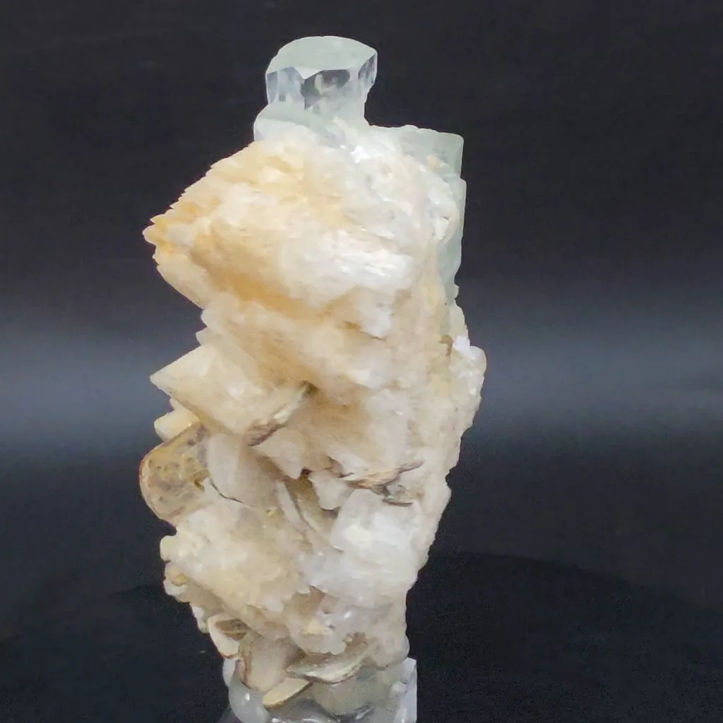 specimen video