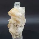 specimen video