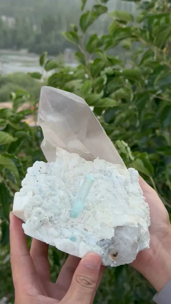 specimen video