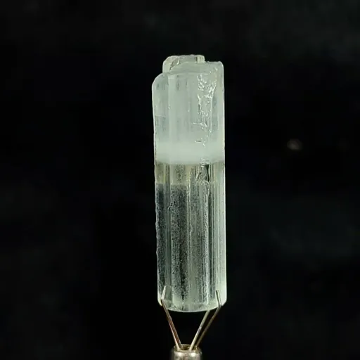 specimen video