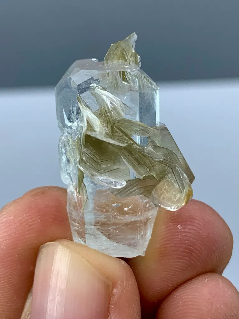Natural Aquamarine Crystal with Golden Muscovite Mica Specimen | Pakistan Beryl Collector Piece Gilgit-Baltistan, Nagar District, Nagar - image 8