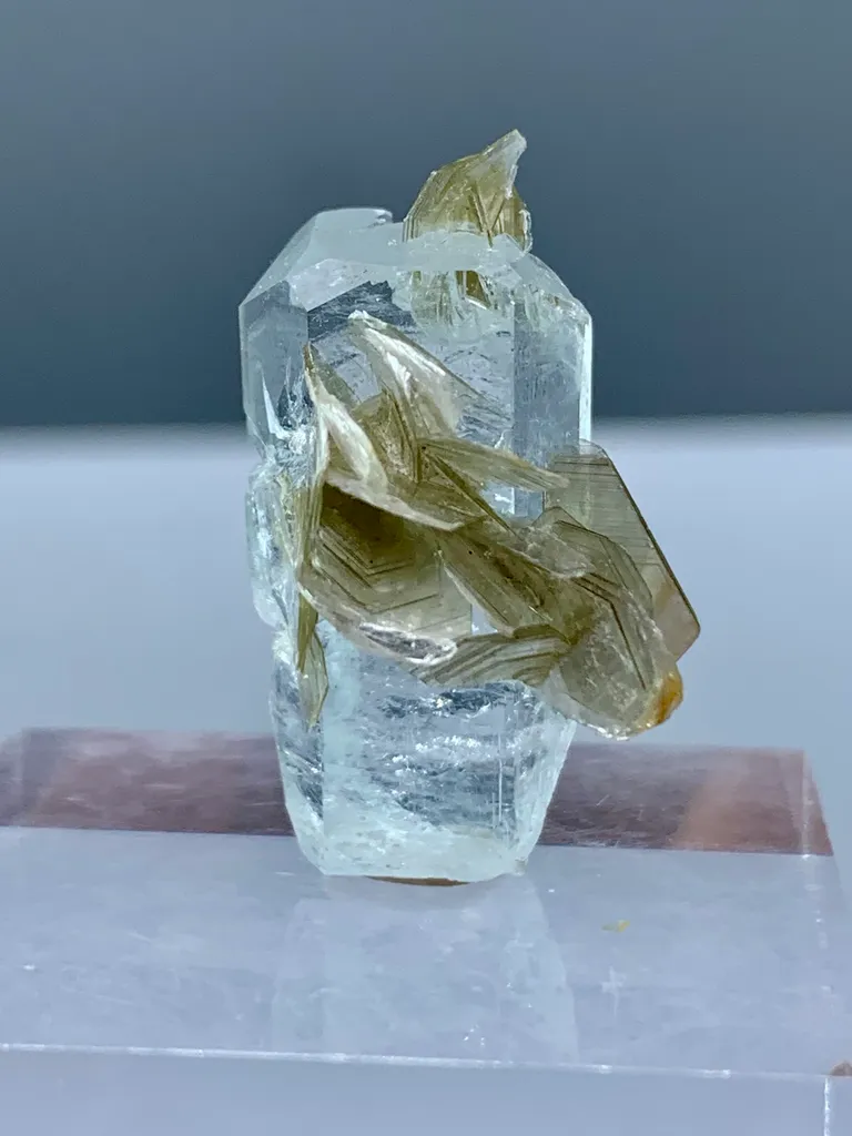 Natural Aquamarine Crystal with Golden Muscovite Mica Specimen | Pakistan Beryl Collector Piece Gilgit-Baltistan, Nagar District, Nagar - image 7