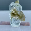 Natural Aquamarine Crystal with Golden Muscovite Mica Specimen | Pakistan Beryl Collector Piece Gilgit-Baltistan, Nagar District, Nagar - image 7