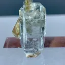 Natural Aquamarine Crystal with Golden Muscovite Mica Specimen | Pakistan Beryl Collector Piece Gilgit-Baltistan, Nagar District, Nagar - image 1